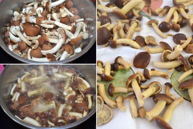 3 cuocere funghi