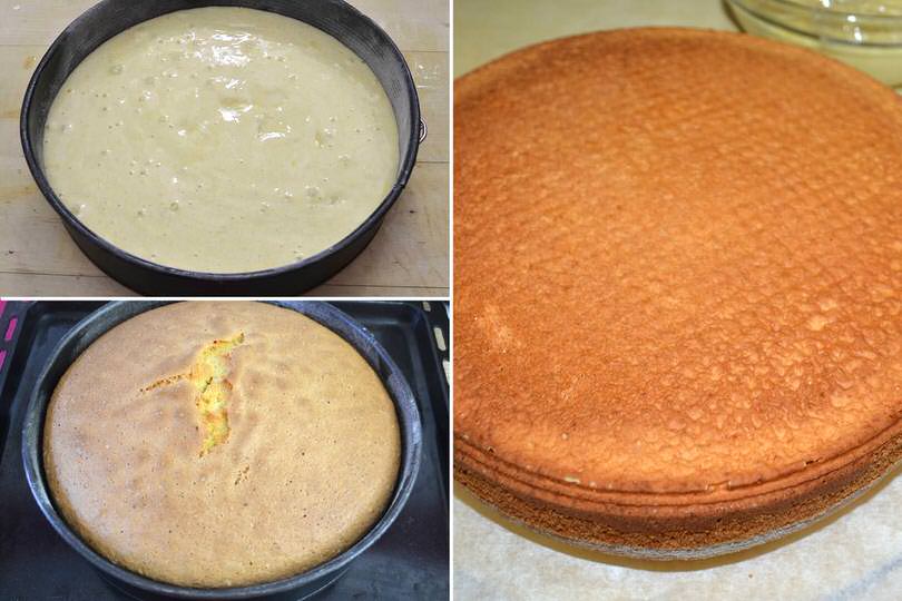 7 pan di spagna