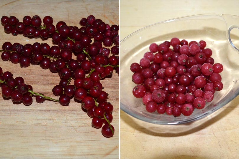 0 ribes