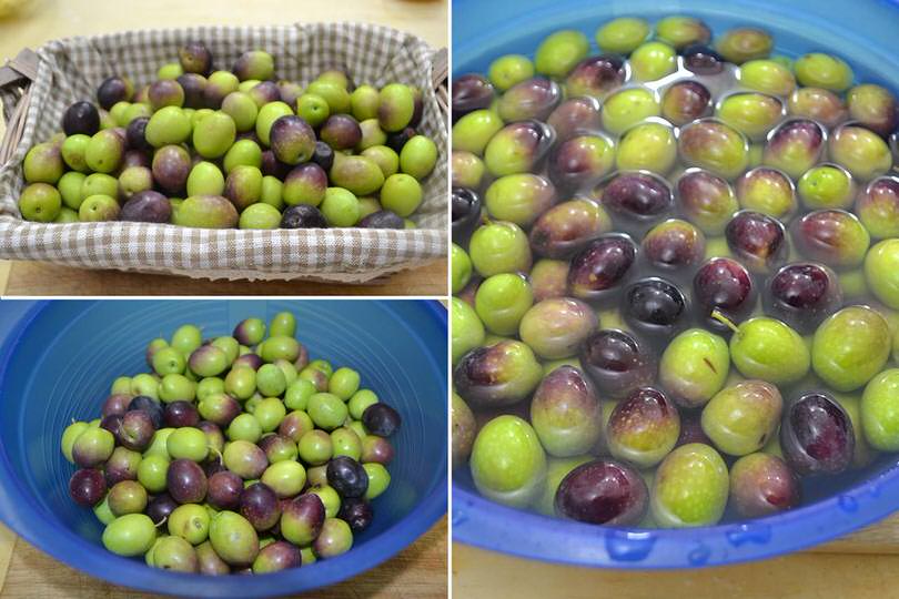 1 pulire olive