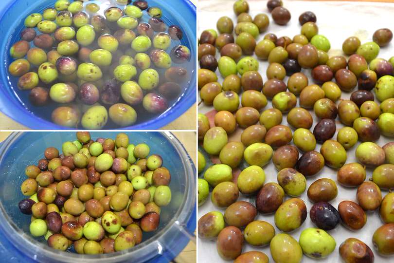 3 asciugare olive