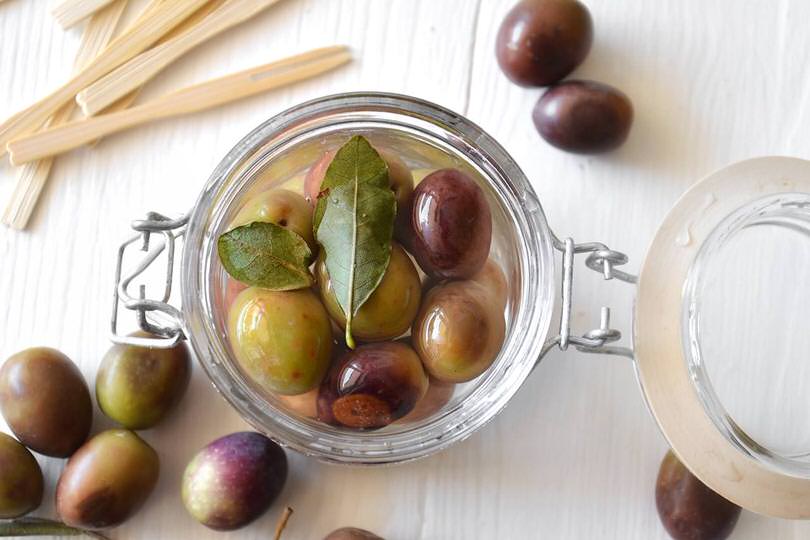 olive-in-salamoia