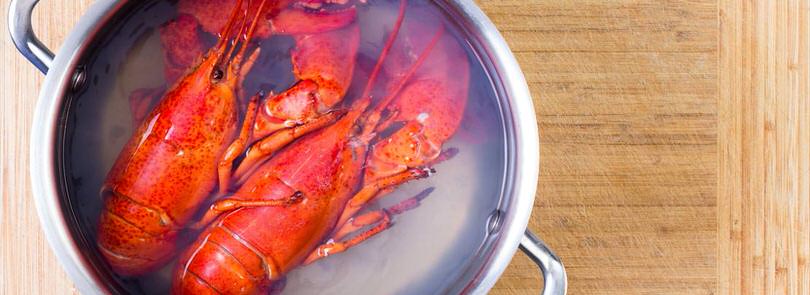 Cucinare con l’acqua di mare