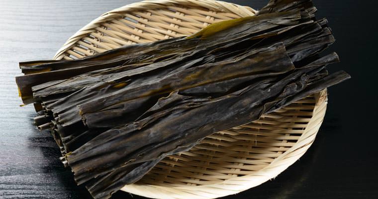 Alga Kombu
