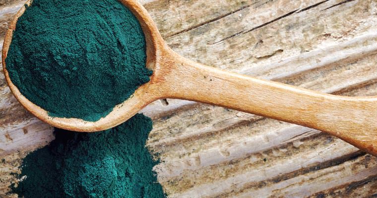 Alga Spirulina
