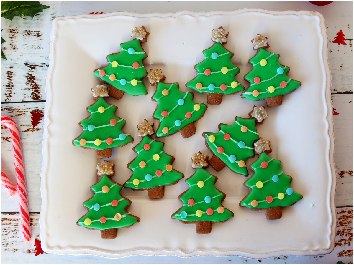 Biscotti di Natale da regalare