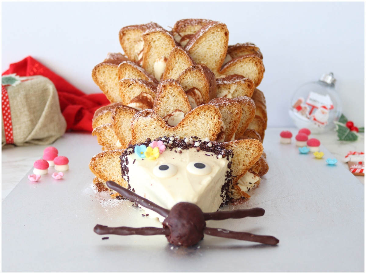 Riccio di pandoro